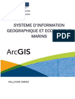 Système D'information Géographique - ArcGIS