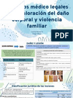 Seminario Violencia Familiar