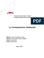 La Contaminación Ambiental