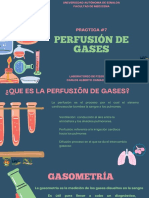 Perfusión de Gases