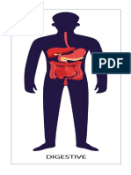 Body organ systems