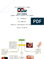 Conocimiento Del Infante1