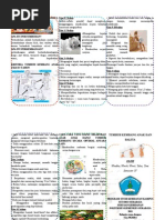 Download Print Leaflet Tumbuh Kembang Anak Dan Balita by Wiwik Anggraeni SN65370899 doc pdf
