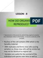 Lesson 8 - How Do Organisms Reproduce