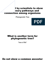Phylogenetic Tree Reviewer