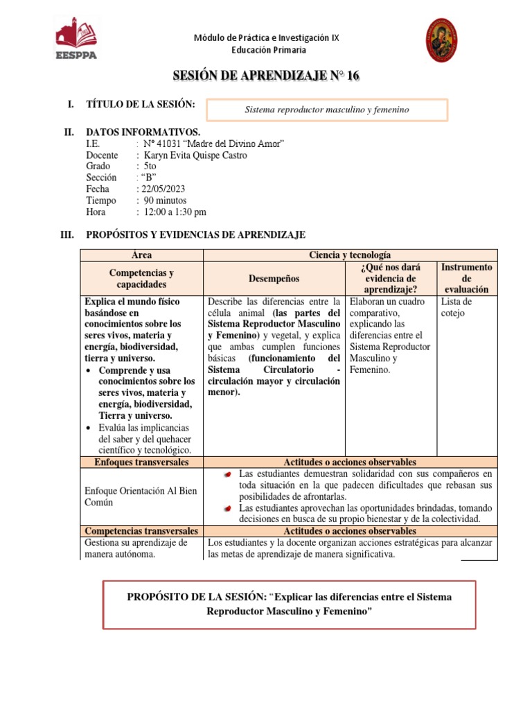 Sesión De Aprendizaje 16 Sistema Reproductor Masculino Y Femenino