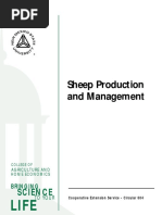 Handbook For Intensive Sheep Farming | PDF | Sheep | Fetus