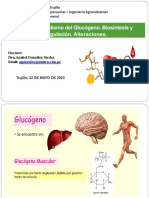 T-16 Metab. Glucógeno