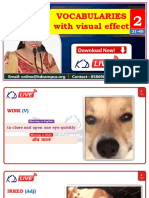 VOCABULARY With Visual Effects (21-40)