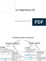 Nervus Trigeminus V