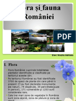 Flora Și Fauna României