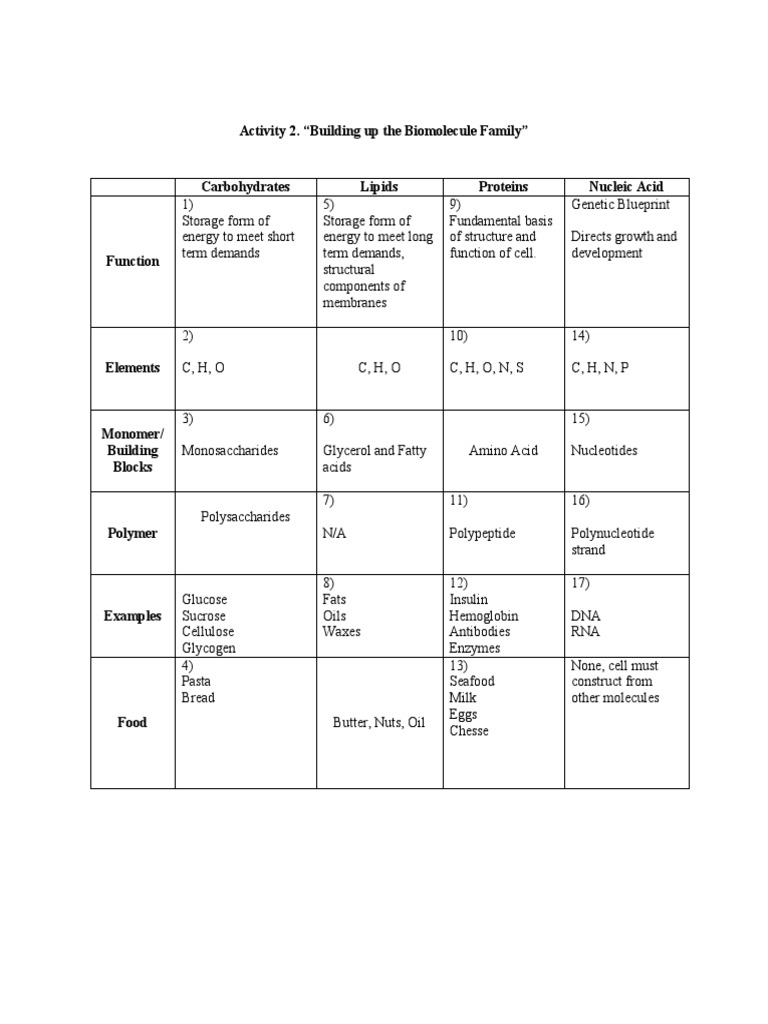 Biomolecule Classification and Functions | PDF