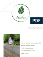 Herbar Botanica