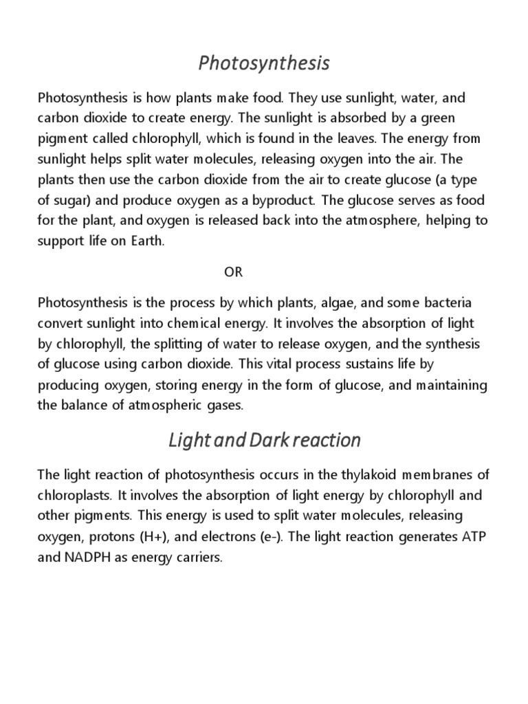 everyday notes | PDF