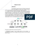 C1 Tema Cautare Euristica