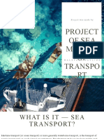 Project of Sea Models of Transport