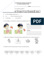 Actividad Sistema Respiratorio