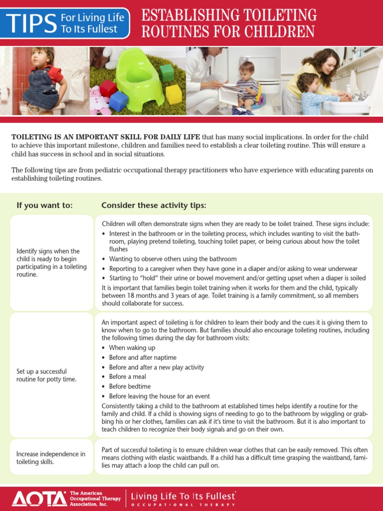 AOTA Handout - Establishing Toileting Routines For Children | PDF ...