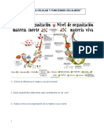 Teoría Celular y Funciones Celulares