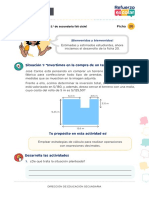 20 Ficha Matemática VII PDF