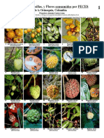 FRUTOS, Semillas, y Flores consumidos por PECES de la Orinoquía, Colombia