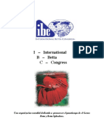 IBC Spanish Flyer