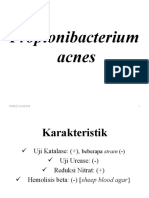 Propionibacterium acnes