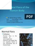 Lecture 12 - NORMAL FLORA