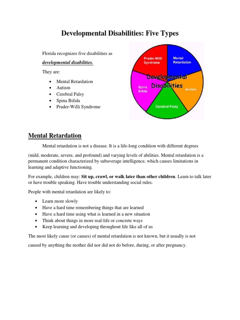 Types of Developmental Disabilities | PDF | Intellectual Disability ...