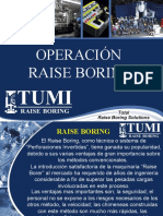 Operacion Raise Borer