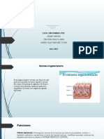 Tema de Sistema - PPTX Linfatico