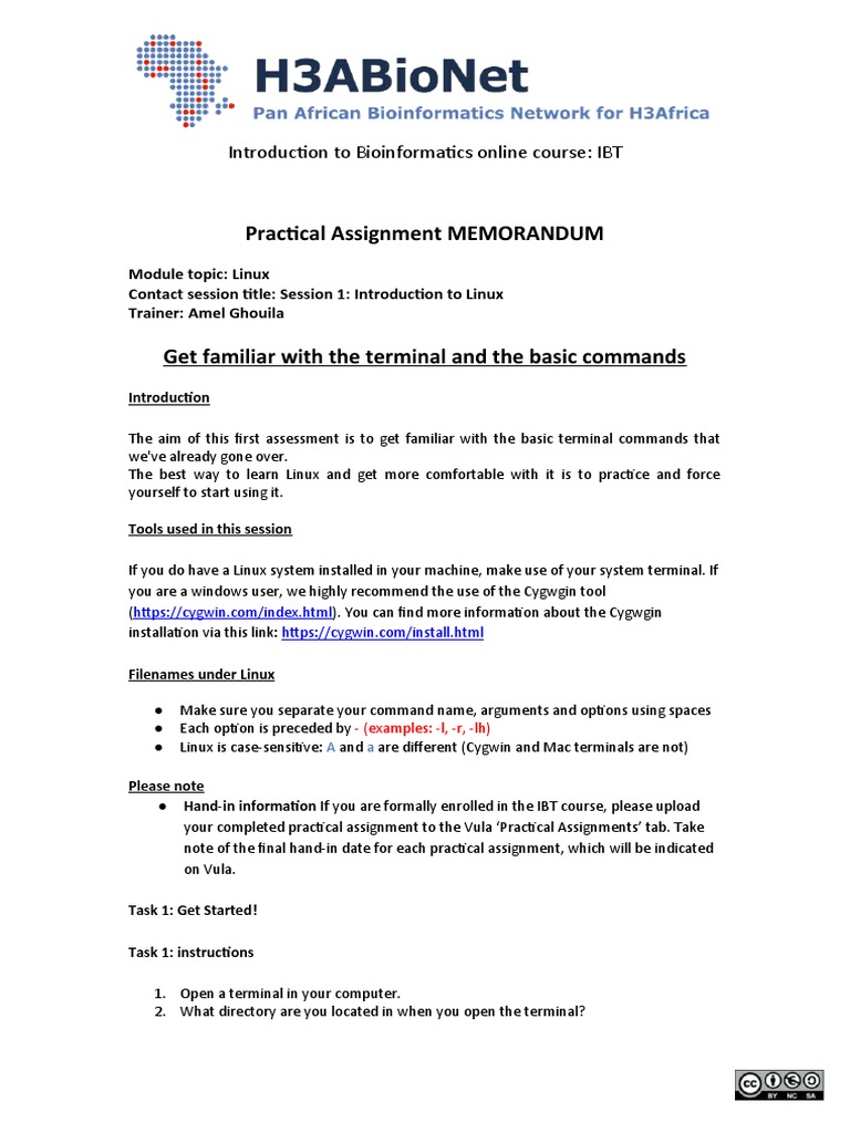 ModuleLinux Session1 PracMEMO-1 | PDF | Computing | System Software
