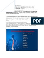 Enfermedades Del Sistema Oseo y Muscular