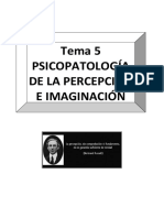 Tema-5.-Psicopatología de La Percepción