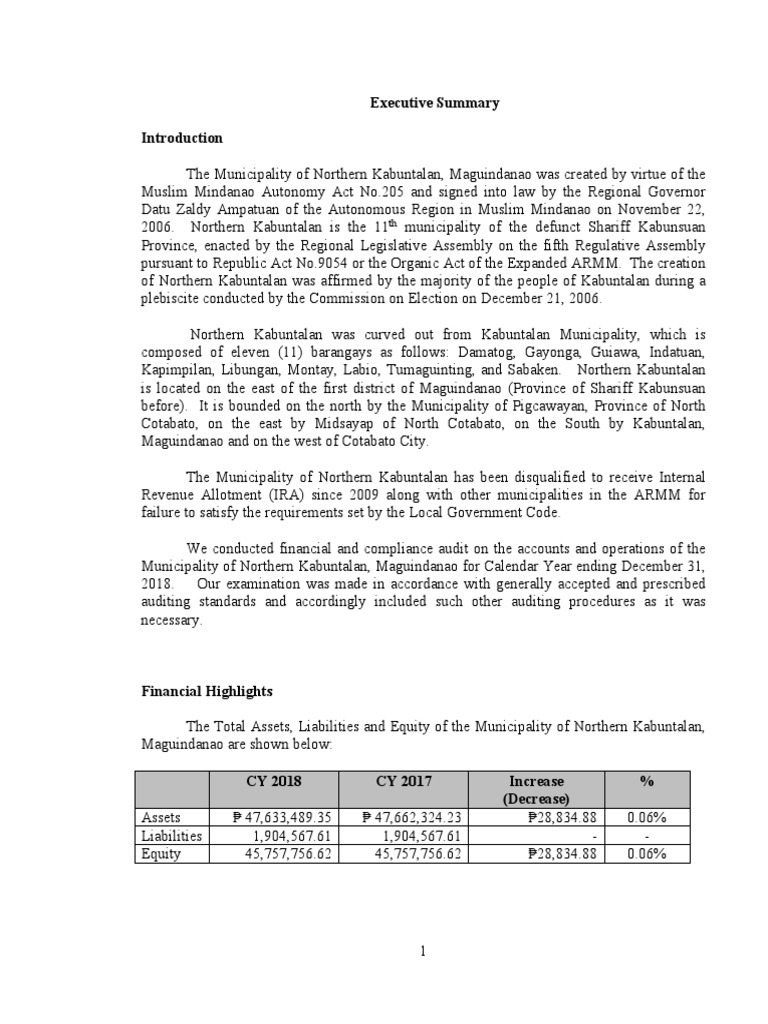 Northern Kabuntalan Executive Summary 2018 PDF Expense Economies