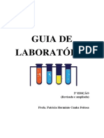 Guia de Laboratório-Completo Revisão Igor 2021