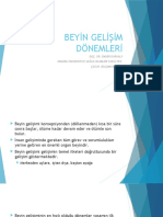 7 Beyin Gelişim Dönemleri 2