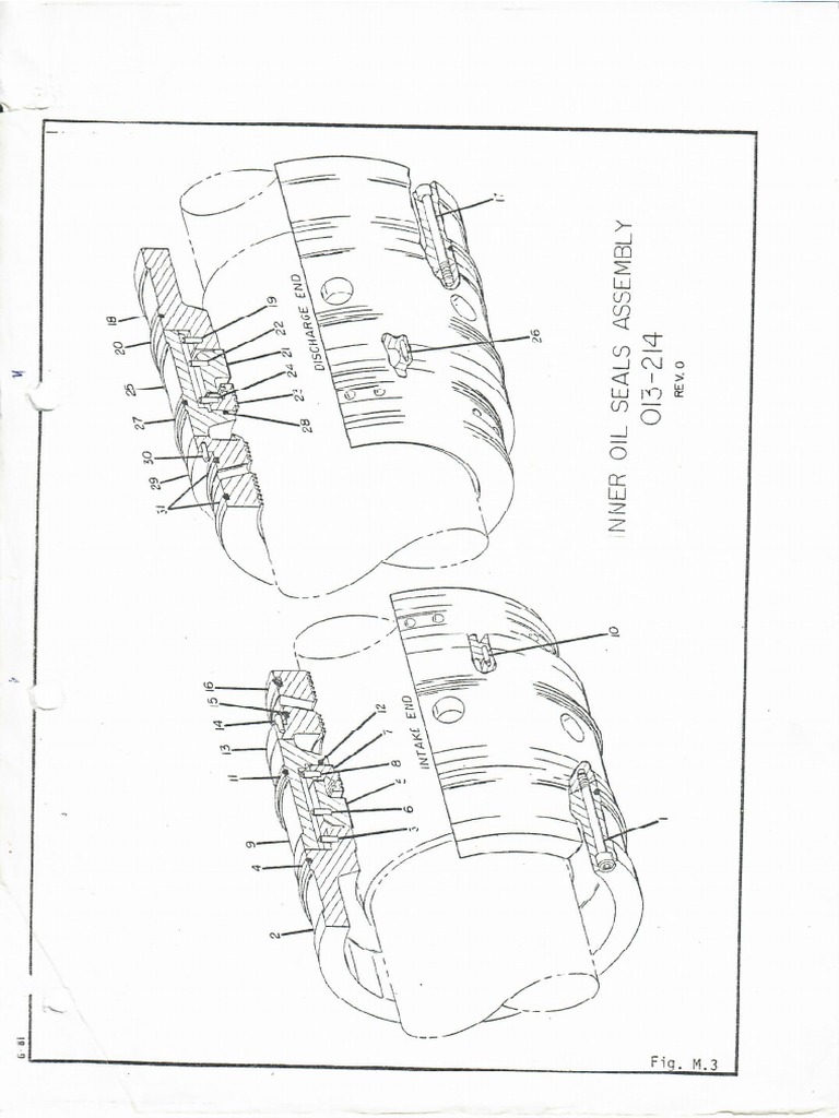 Inner oil seals assembly PDF