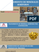 Curso de Tratamiento de Minerales Auriferos 2023