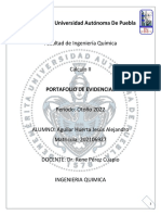 Portafolio de Evidencias Calculo Integral