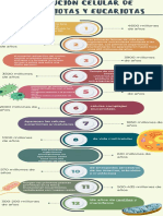 Línea de Tiempo y Infografias Valentina Alonso