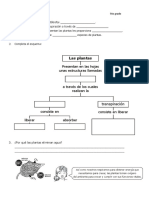 Reino Plantae Alumnos