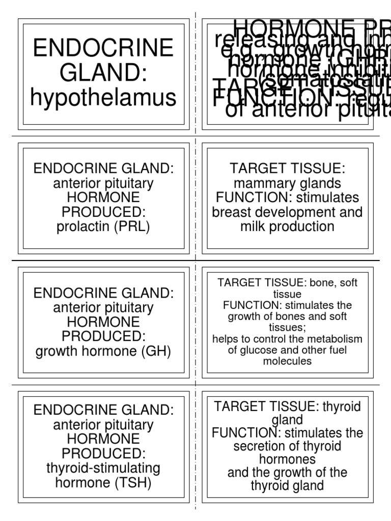 HORMONES (Flash Cards) | PDF | Endocrine System | Hormone