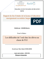 Rapport version finale