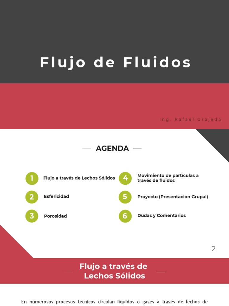 Flujo de Fluidos en Lechos Sólidos | PDF | Métodos y materiales de ...
