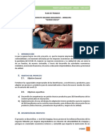 Plan de Trabajo - Care Peru