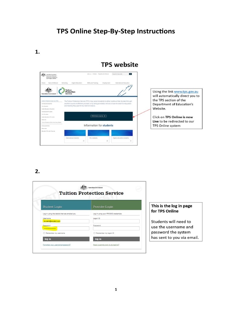 TPS Online Step-By-Step Instructions | PDF