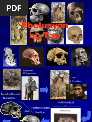 Taong Cro Magnon