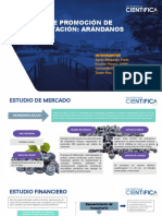 Plan de Promoción de Exportación-Arándanos Azules