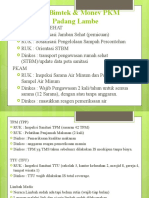 Hasil Bimtek PKM Padang Lambe (18 Januari 2021)